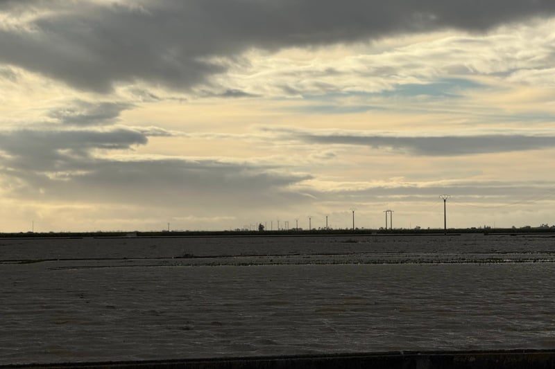 صورة المقالة