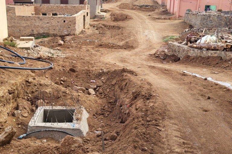 صورة المقالة