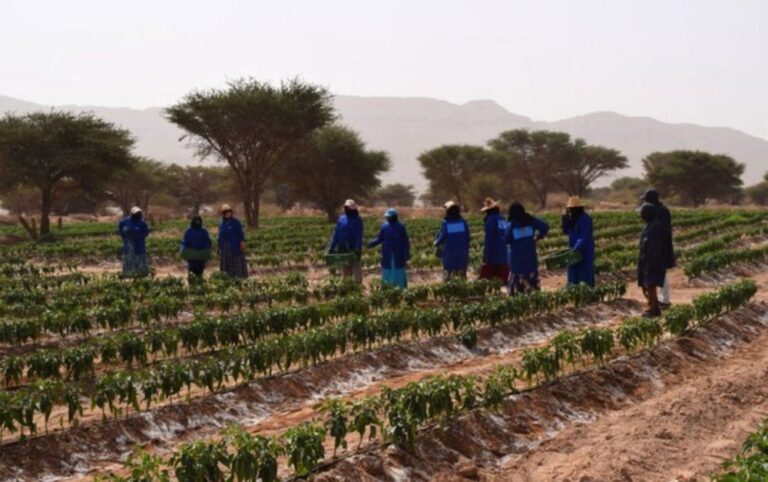 صورة المقالة