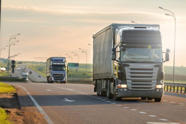 صورة المقالة