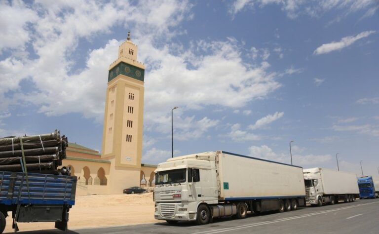 صورة المقالة