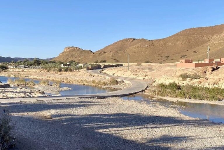 صورة المقالة