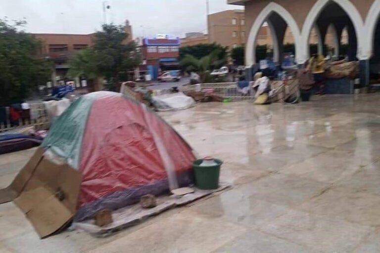 صورة المقالة