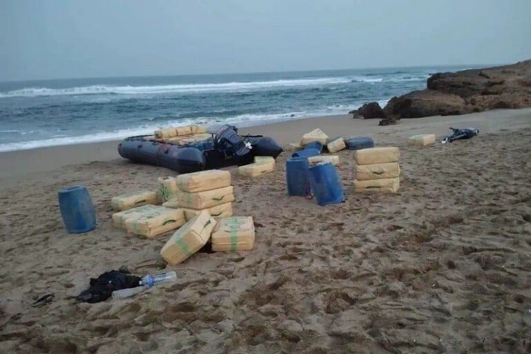 صورة المقالة