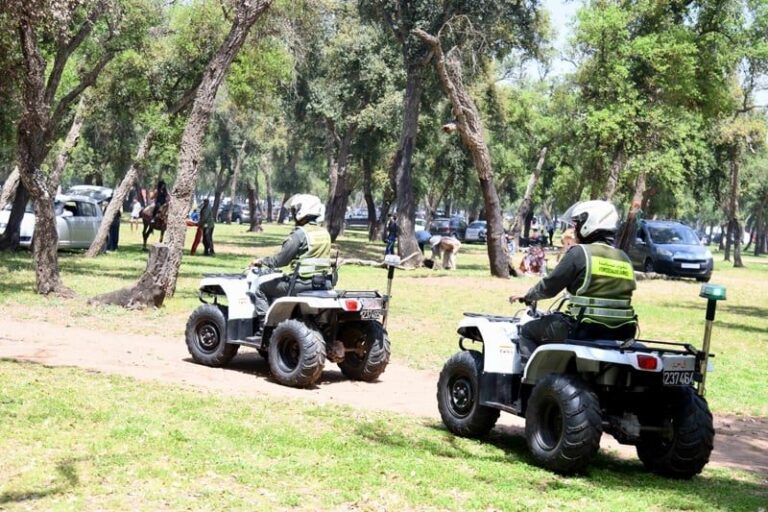 صورة المقالة