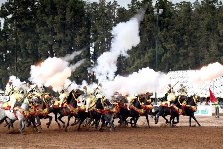 صورة المقالة