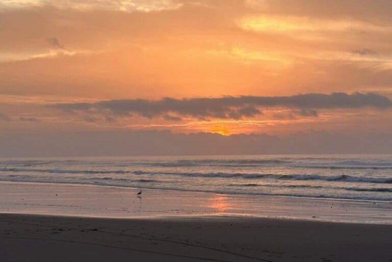 صورة المقالة