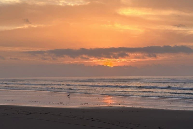 توقعات أرصادية ليوم الاثنين: ارتفاع الحرارة بالسهول والشمال وفرص أمطار خفيفة بالسواحل