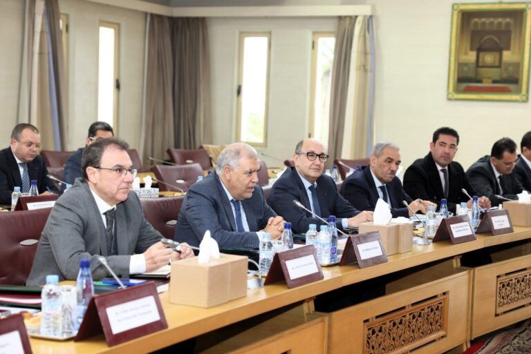 صورة المقالة