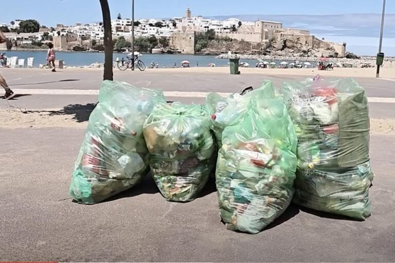 صورة المقالة