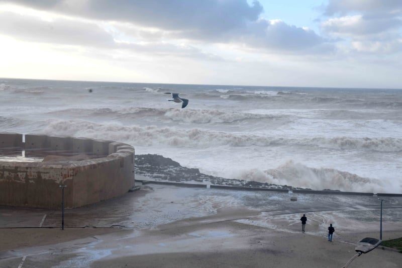 صورة المقالة