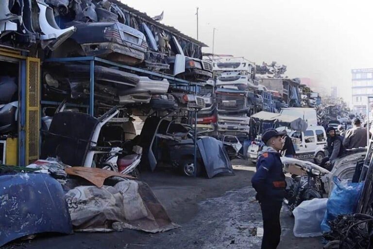 صورة المقالة