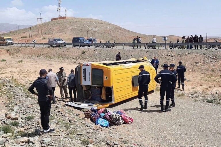 صورة المقالة