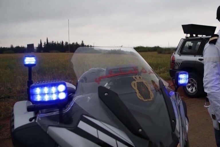 صورة المقالة