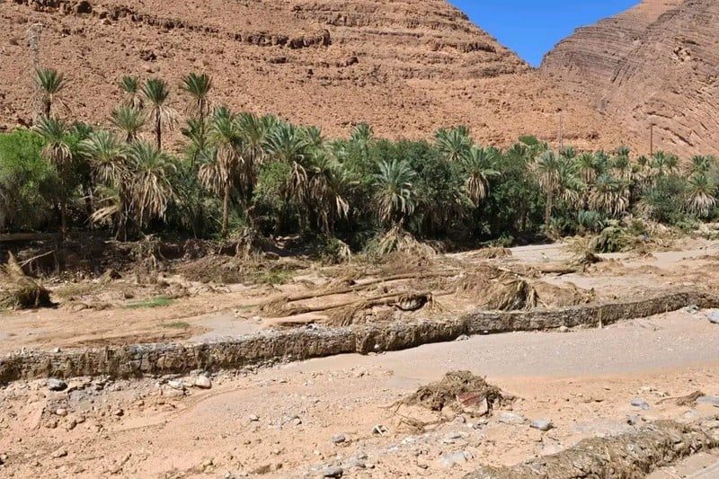 واحات سموكن بإقليم طاطا: فجوة بين مؤشرات إعادة التأهيل الرسمية والواقع الميداني