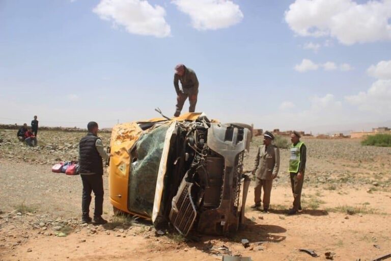 صورة المقالة