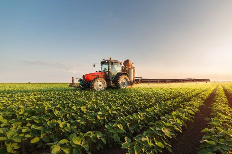 صورة المقالة