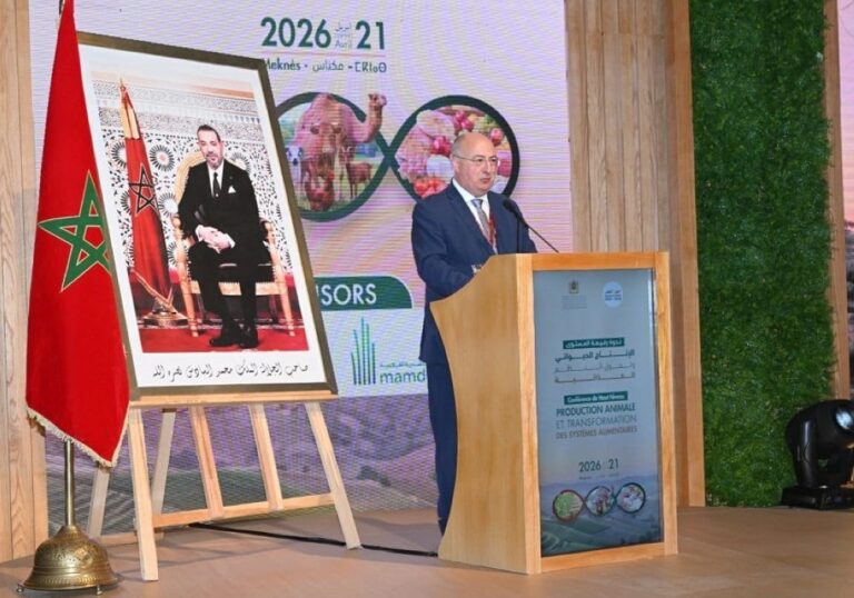 صورة المقالة