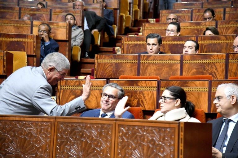 صورة المقالة