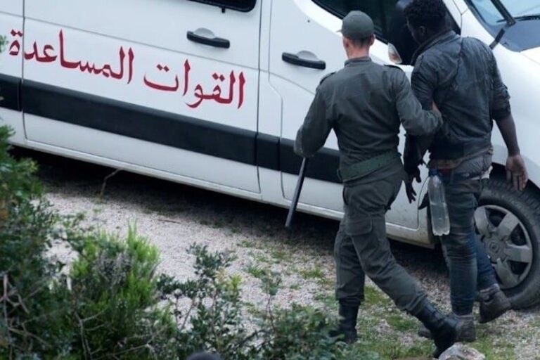 صورة المقالة