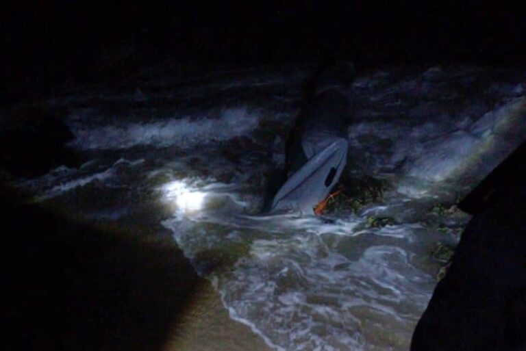 صورة المقالة