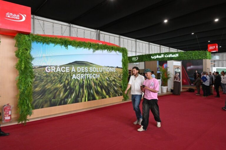 صورة المقالة