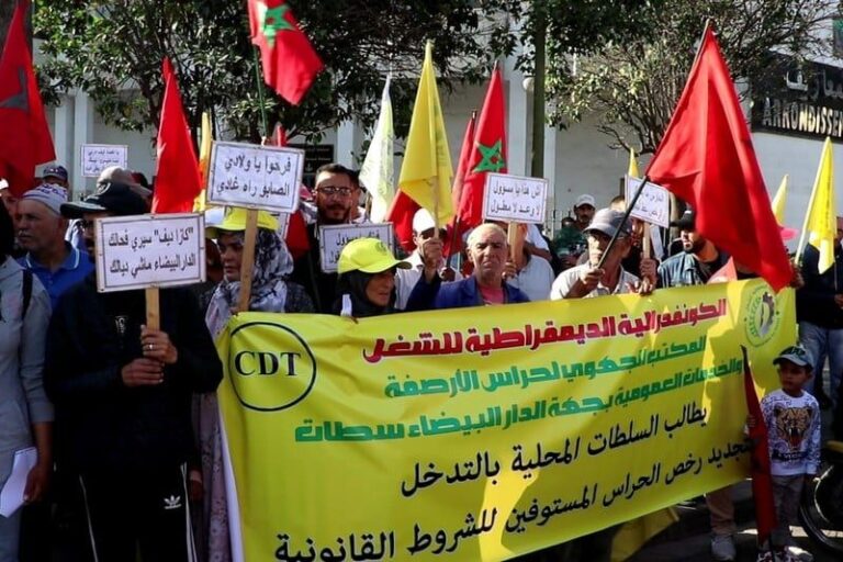 صورة المقالة