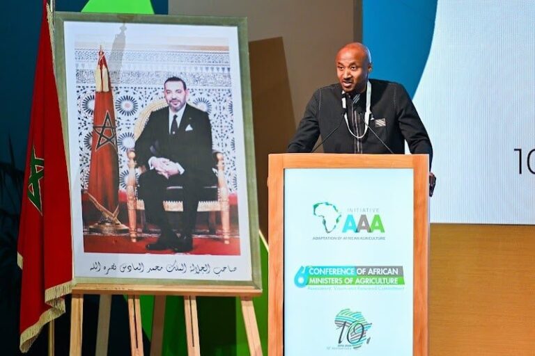 صورة المقالة