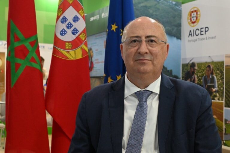 صورة المقالة