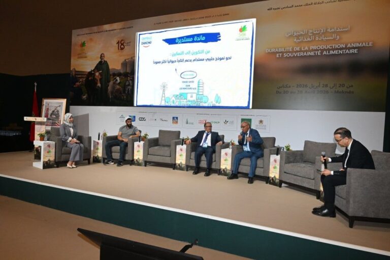 صورة المقالة