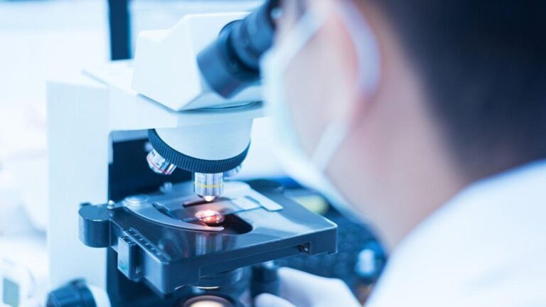 صورة المقالة