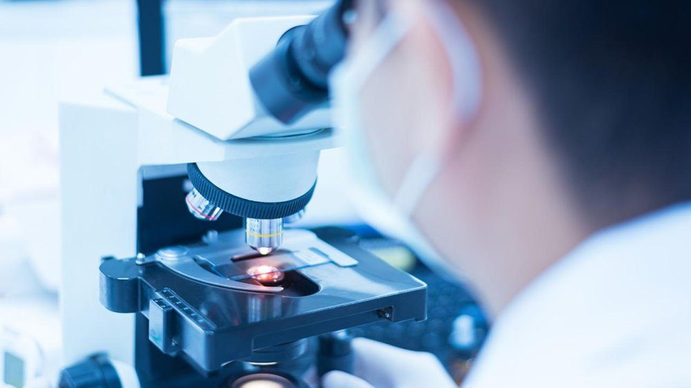 صورة المقالة