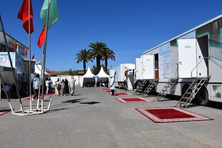 صورة المقالة