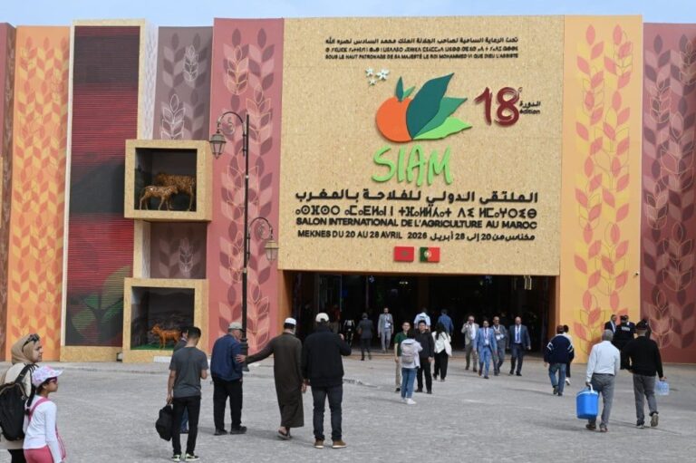 صورة المقالة