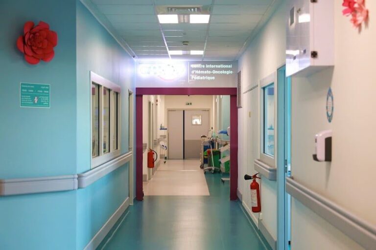 صورة المقالة