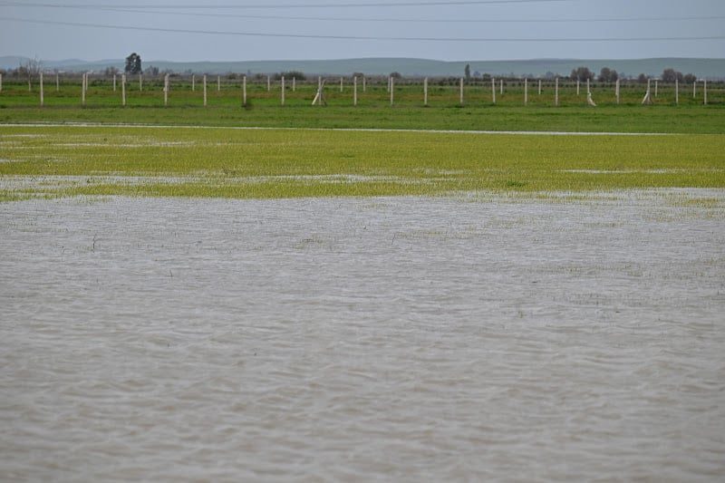 المغرب يوزع البذور والأسمدة على فلاحي الغرب المتضررين من الفيضانات