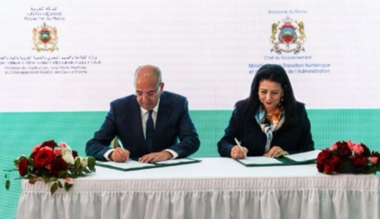 صورة المقالة