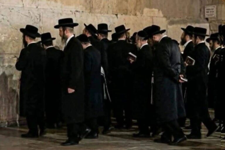 صورة المقالة