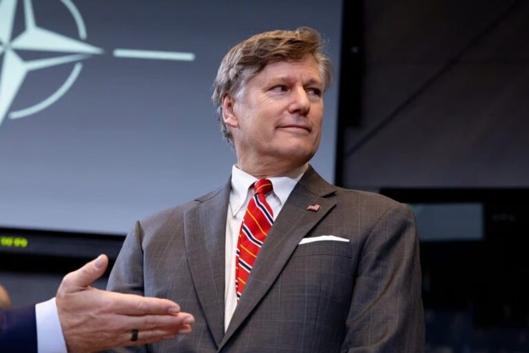 صورة المقالة