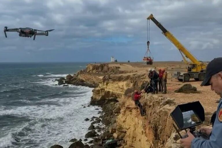 صورة المقالة