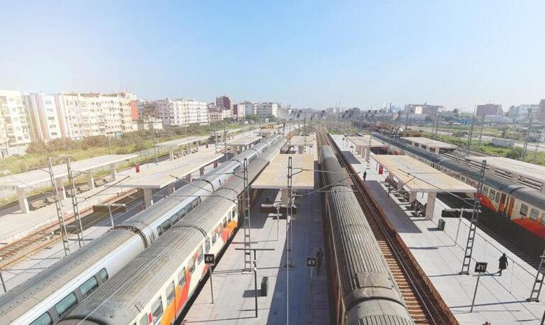 صورة المقالة