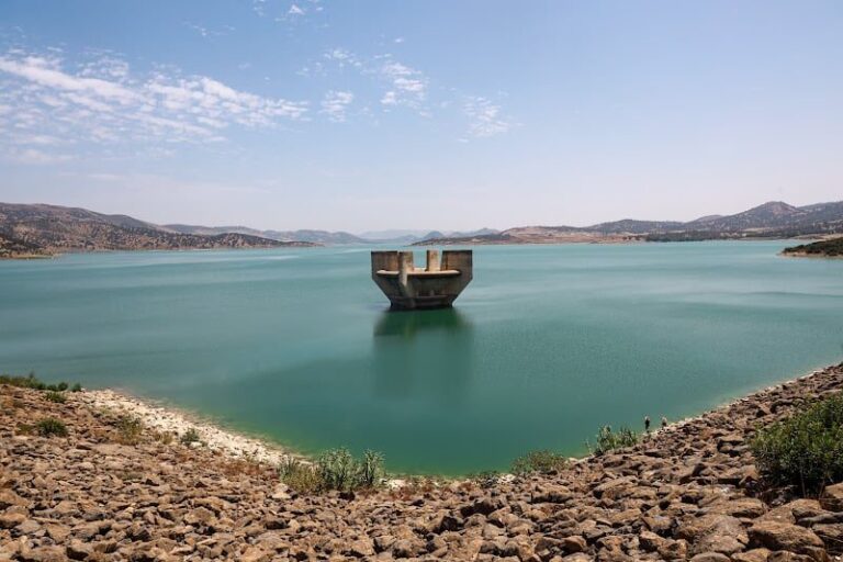 صورة المقالة