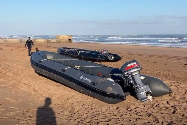 صورة المقالة