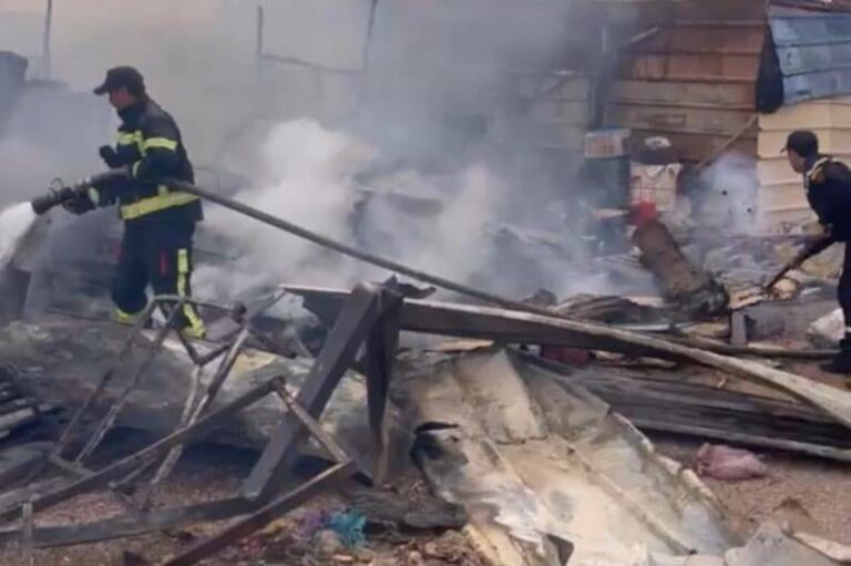 صورة المقالة