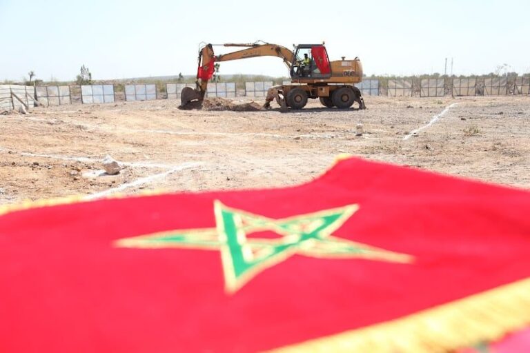 صورة المقالة