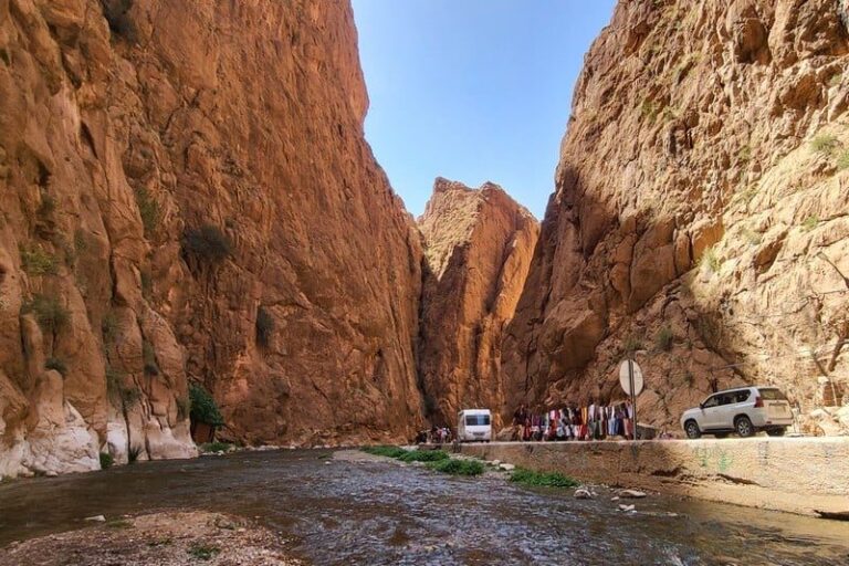 صورة المقالة