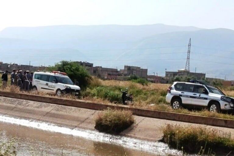 صورة المقالة