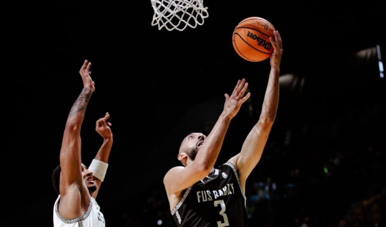 صورة المقالة