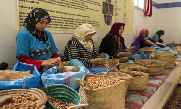 صورة المقالة