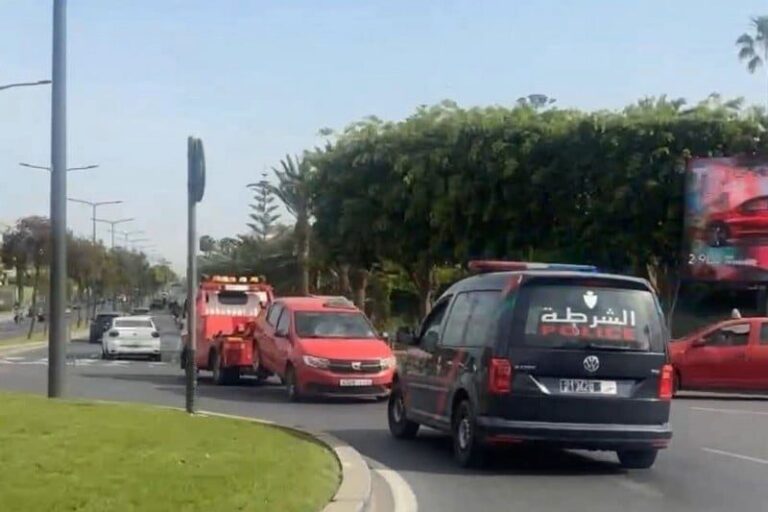 صورة المقالة